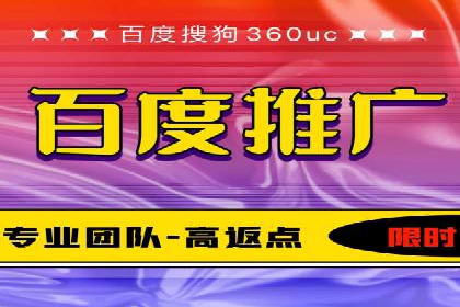 百度竞价排名机制：成功案例与策略探讨